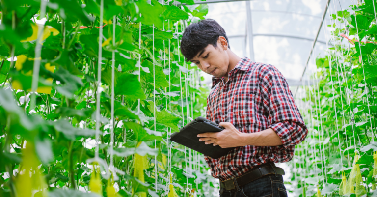 man in greenhouse looking at ipad