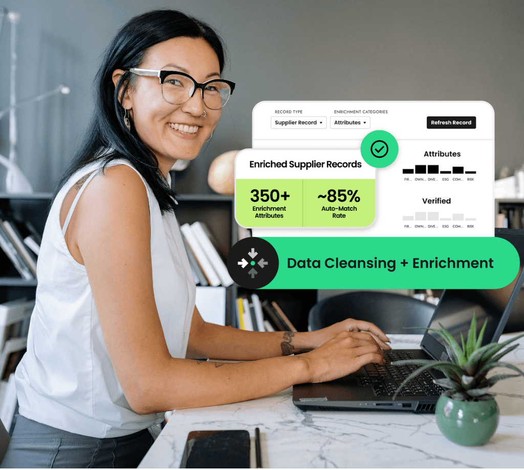 Data cleansing and enrichment